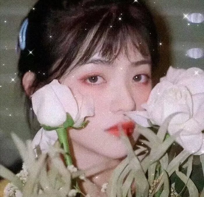 火神之天启之子